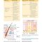 BAILEY AND SCOTTS DIAGNOSTIC MICROBIOLOGY WITH ACCESS CODE 16ED