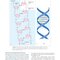 BAILEY AND SCOTTS DIAGNOSTIC MICROBIOLOGY WITH ACCESS CODE 16ED