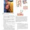 Hinman's Atlas of Urologic Surgery 5th Edition