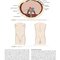 Hinman's Atlas of Urologic Surgery 5th Edition