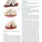 Hinman's Atlas of Urologic Surgery 5th Edition