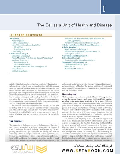 Robbins, Cotran & Kumar Pathologic Basis of Disease (Robbins Pathology) 11th Edition
