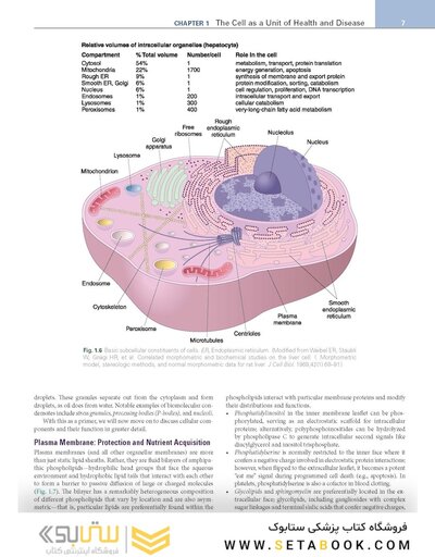 Robbins, Cotran & Kumar Pathologic Basis of Disease (Robbins Pathology) 11th Edition