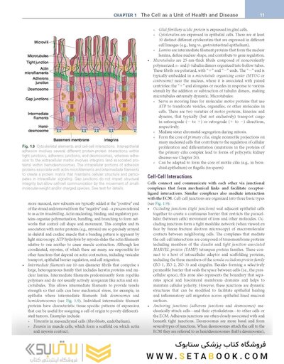 Robbins, Cotran & Kumar Pathologic Basis of Disease (Robbins Pathology) 11th Edition