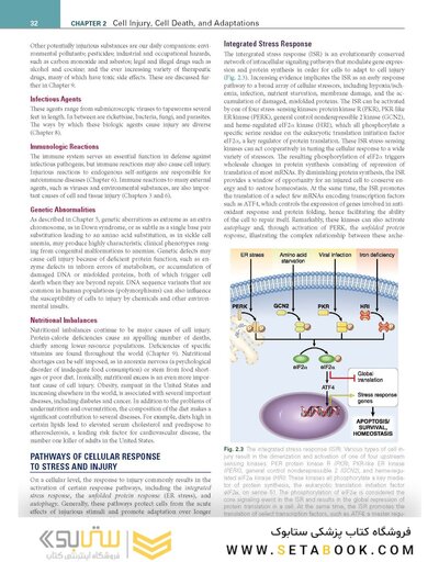 Robbins, Cotran & Kumar Pathologic Basis of Disease (Robbins Pathology) 11th Edition