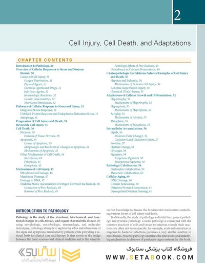 Robbins, Cotran & Kumar Pathologic Basis of Disease (Robbins Pathology) 11th Edition
