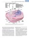 Robbins, Cotran & Kumar Pathologic Basis of Disease (Robbins Pathology) 11th Edition