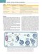 Robbins, Cotran & Kumar Pathologic Basis of Disease (Robbins Pathology) 11th Edition