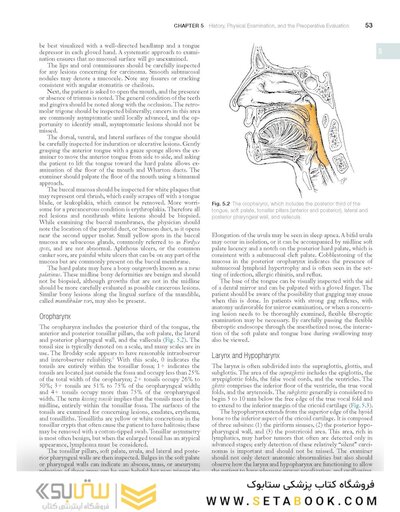 Cummings Otolaryngology: Head and Neck Surgery: Head and Neck Surgery 8th Edition