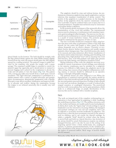 Cummings Otolaryngology: Head and Neck Surgery: Head and Neck Surgery 8th Edition