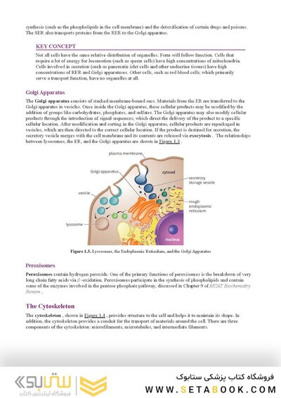 MCAT Biology Review 2026-2027