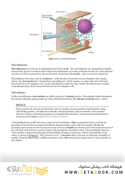 MCAT Biology Review 2026-2027
