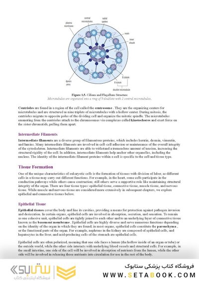 MCAT Biology Review 2026-2027