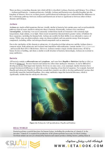 MCAT Biology Review 2026-2027