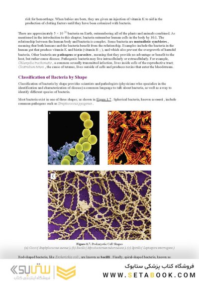 MCAT Biology Review 2026-2027