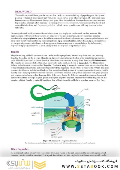 MCAT Biology Review 2026-2027