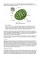 MCAT Biology Review 2026-2027