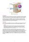 MCAT Biology Review 2026-2027