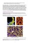 MCAT Biology Review 2026-2027
