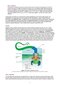 MCAT Biology Review 2026-2027