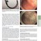 The Principles of Harrison’s Internal Medicine: Gastrointestinal Diseases 2026