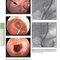The Principles of Harrison’s Internal Medicine: Gastrointestinal Diseases 2026