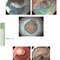 The Principles of Harrison’s Internal Medicine: Gastrointestinal Diseases 2026