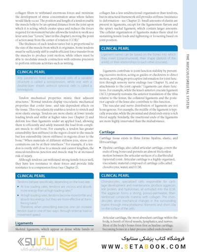 Dutton's Orthopaedic: Examination, Evaluation and Intervention, Seventh Edition
