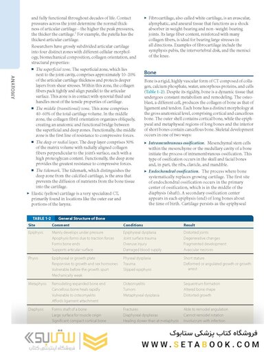 Dutton's Orthopaedic: Examination, Evaluation and Intervention, Seventh Edition