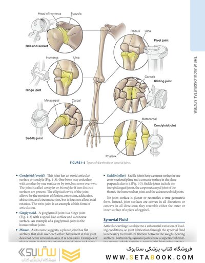 Dutton's Orthopaedic: Examination, Evaluation and Intervention, Seventh Edition