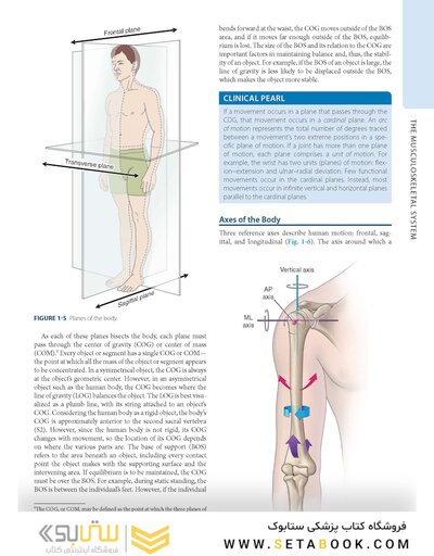 Dutton's Orthopaedic: Examination, Evaluation and Intervention, Seventh Edition