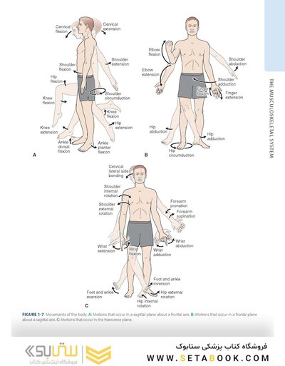 Dutton's Orthopaedic: Examination, Evaluation and Intervention, Seventh Edition