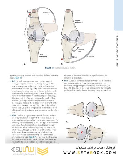 Dutton's Orthopaedic: Examination, Evaluation and Intervention, Seventh Edition