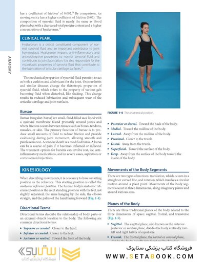 Dutton's Orthopaedic: Examination, Evaluation and Intervention, Seventh Edition