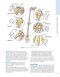 Dutton's Orthopaedic: Examination, Evaluation and Intervention, Seventh Edition