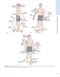 Dutton's Orthopaedic: Examination, Evaluation and Intervention, Seventh Edition