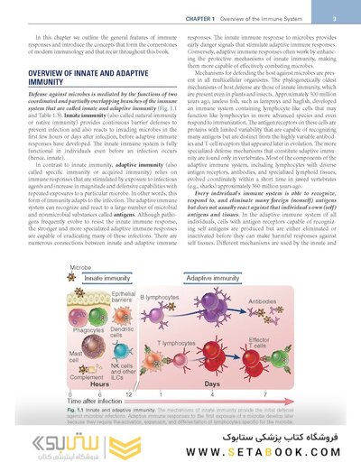Cellular and Molecular Immunology 11th Edition