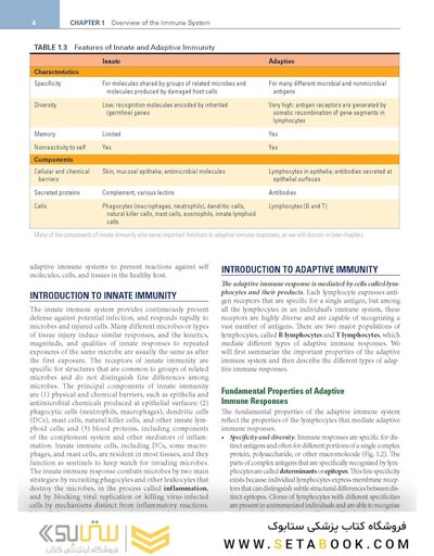 Cellular and Molecular Immunology 11th Edition
