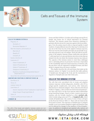 Cellular and Molecular Immunology 11th Edition