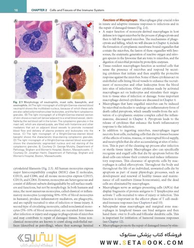Cellular and Molecular Immunology 11th Edition