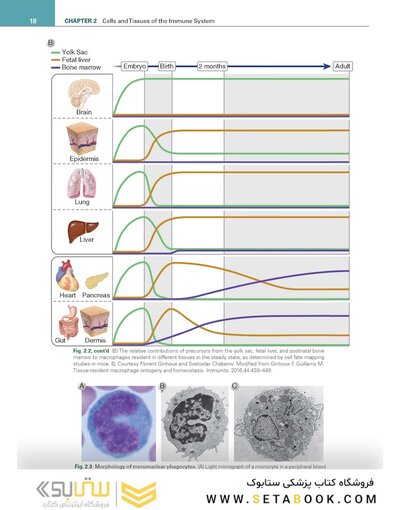 Cellular and Molecular Immunology 11th Edition