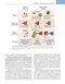 Cellular and Molecular Immunology 11th Edition