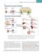 Cellular and Molecular Immunology 11th Edition