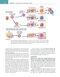 Cellular and Molecular Immunology 11th Edition