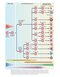 Cellular and Molecular Immunology 11th Edition