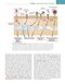 Cellular and Molecular Immunology 11th Edition
