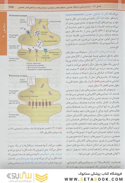 فیزیولوژی پزشکی گایتون و هال 2026 جلد دوم