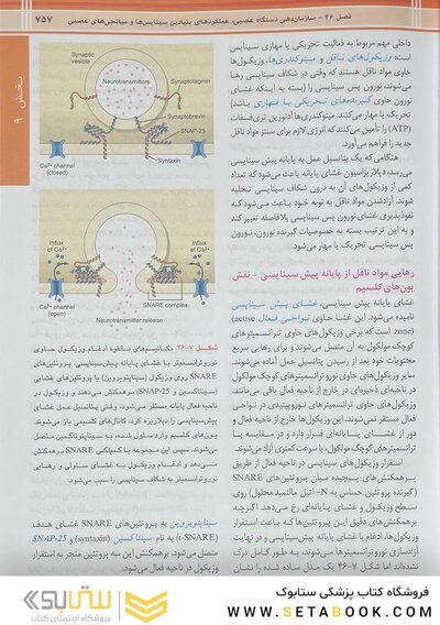 فیزیولوژی پزشکی گایتون و هال 2026 جلد دوم