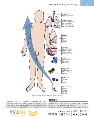 Procedures in Phlebotomy 5th Edition
