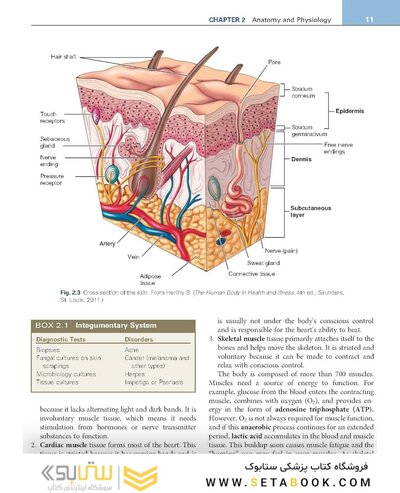Procedures in Phlebotomy 5th Edition